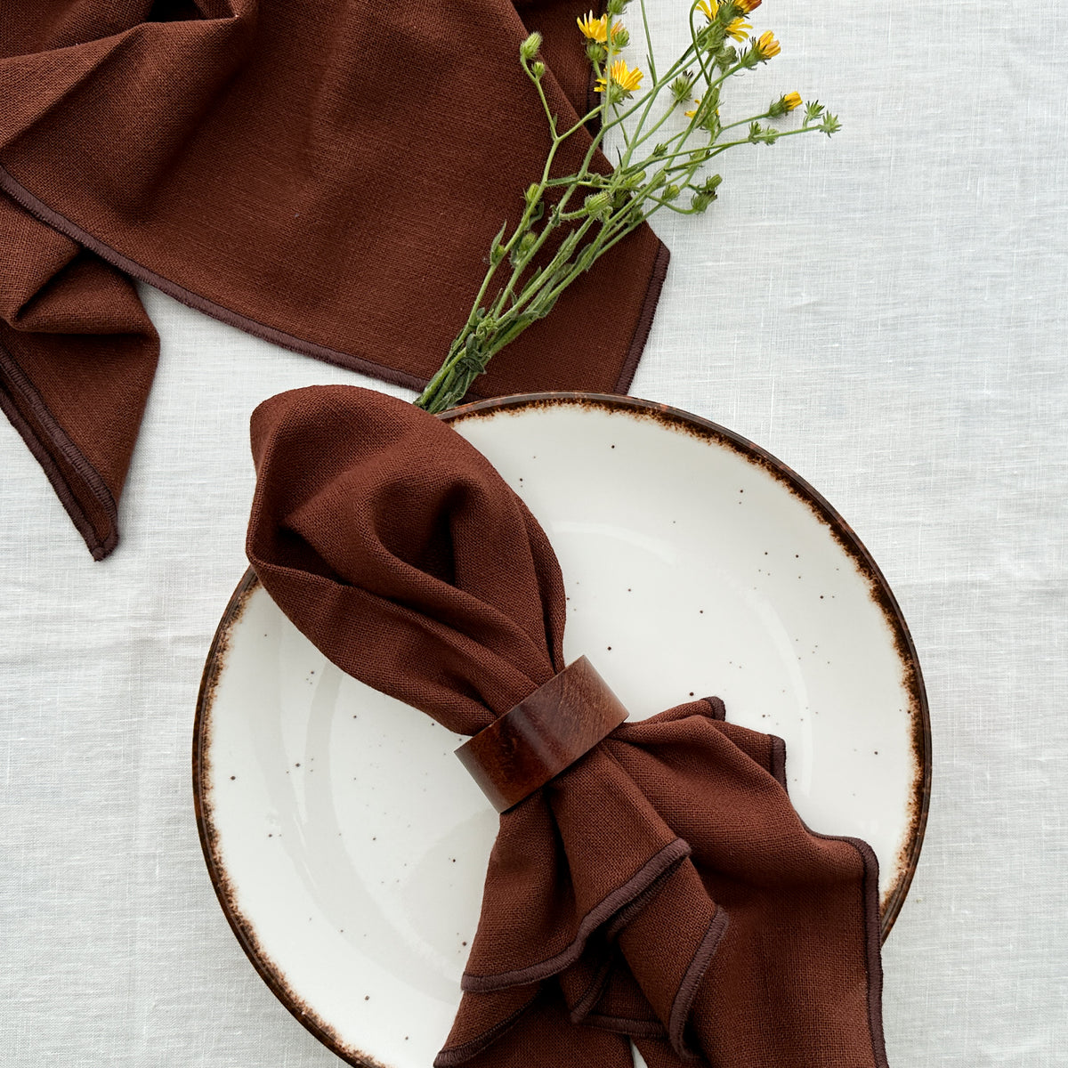 Soil Brown Cotton Napkin Set,Inspired by The Earth's Own Palette