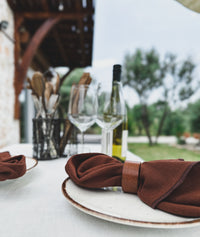 Soil Brown Cotton Napkin Set,Inspired by The Earth's Own Palette