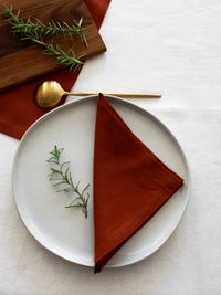 Terracotta Linen Napkins